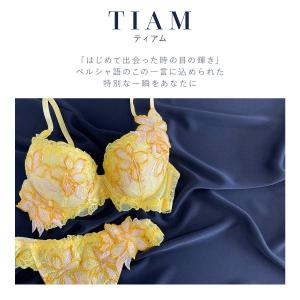 Tバック ショーツ タンガ 豪華 レース 刺繍...の詳細画像2