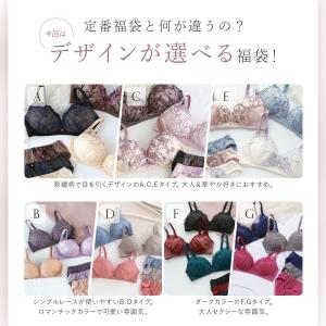 ブラジャー ショーツセット ノンワイヤー 大き...の詳細画像3
