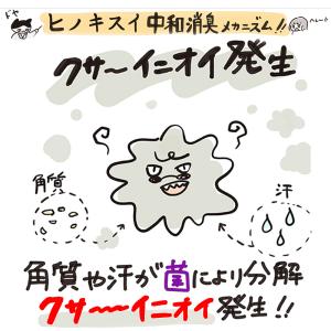 靴 消臭スプレー ヒノキスイ 100ml 環境...の詳細画像3
