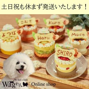 犬用 自家製なめらかアイスクリーム やぎみるく...の詳細画像3