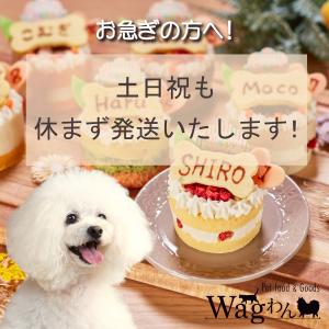 猫用 ささみケーキ【お名前・年齢入り!土日祝休...の詳細画像5