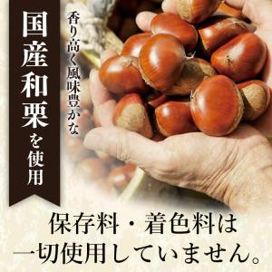 【送料無料】和栗ペースト■加糖タイプ■1mm/...の詳細画像2