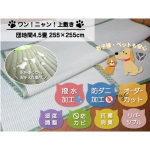 い草上敷き 畳カーペットござ 団地間 4.5畳  255×255cm ワン！ニャン！上敷