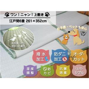 い草上敷き 畳カーペットござ 江戸間6畳  261×352cm  ワン！ニャン！上敷