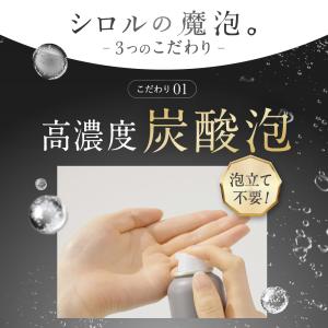 SHIRORU公式 シロル正規品 クリスタルホ...の詳細画像2