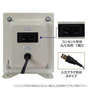 NDF-1000UPE 国内用 1000W 変...の詳細画像3