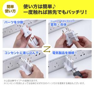 RWG101 全世界 マルチ変換 プラグ ゴー...の詳細画像4
