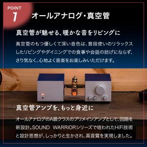 真空管アンプ プリメインアンプ 12AX7 日...の詳細画像2