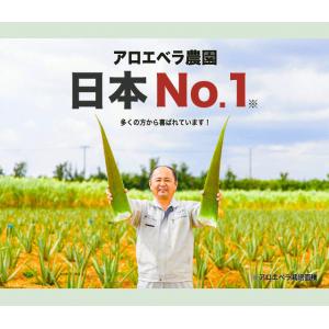 アロエベラ 食用 生葉 2〜2.5kg 沖縄・...の詳細画像1