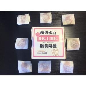 梅干し自然派　梅博士のDR.UME (商標登録)8粒（大粒）袋入り　まろやかうす塩味