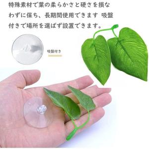 人工水草 柔らかい 水槽 の商品一覧 熱帯魚 アクアリウム用品 ペット用品 生き物 通販 Yahoo ショッピング