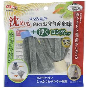 メダカの卵 カビ プラスチック水槽 の商品一覧 水槽 熱帯魚 アクアリウム用品 ペット用品 生き物 通販 Yahoo ショッピング