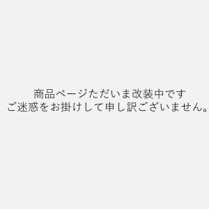 資生堂パーラー ショコラヴィオンイヴェール