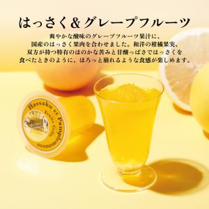 お中元 ギフト 2026 スイーツ ゼリー 公...の詳細画像5