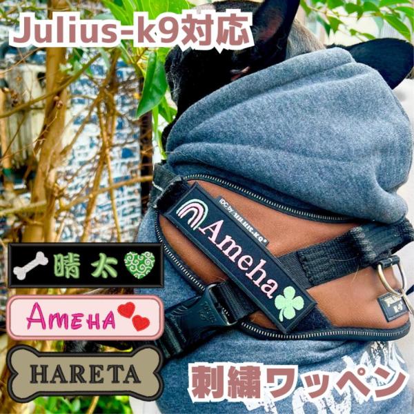 Mサイズ 愛犬 ユリウス 刺繍ワッペン ネーム 刺繍 julius-k9 ユリウスk9 対応