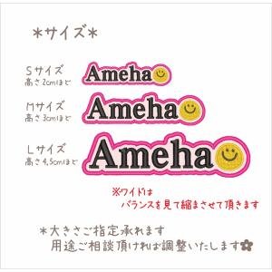 犬 ハーネス ユリウスk9 ネームタグ 名前入...の詳細画像3