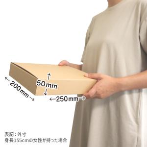 ダンボール 宅配60サイズ 宅急便コンパクト専...の詳細画像3
