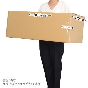 ダンボール 160サイズ 長さ800×幅470...の詳細画像2
