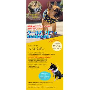 接触冷感タイプ● 犬用 クールバンド&保冷剤5...の詳細画像2