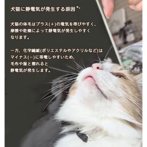 静電気軽減 首輪 PACHI NYAI RIN...の詳細画像3