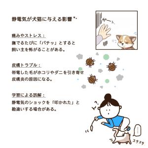 静電気軽減 首輪 PACHI NYAI RIN...の詳細画像4