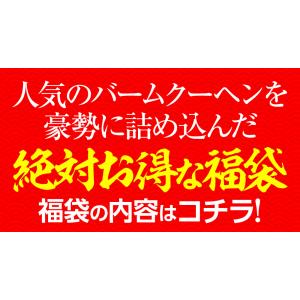 Z 期間限定プレミアムクリームサンド入り バー...の詳細画像3