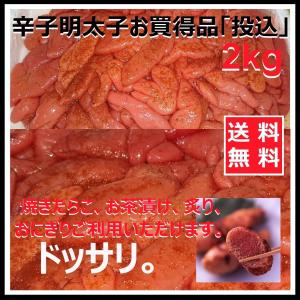 明太子 博多食材工房 有色 辛子明太子  訳あり 投込