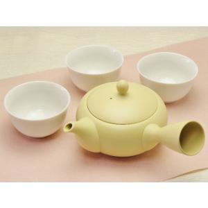 美濃焼 玉露茶器セット 機能的で使いやすい小ぶりのメッシュの網付宝瓶