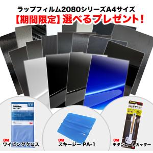 室内保管 保護フィルムラッピング SURGE X tern 室内保管 保護フィルムラッピング SURGE X tern