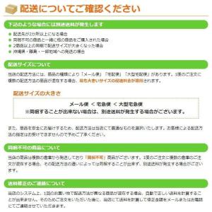 3M ハイ・インテンシティグレード カプセルプ...の詳細画像2