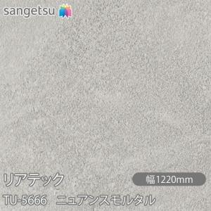 REATEC リアテック TU-5666 ニュア...の商品画像