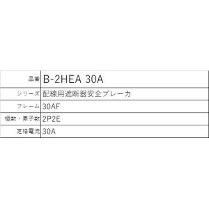 テンパール B-2HEA 30A B-2HEシ...の詳細画像1