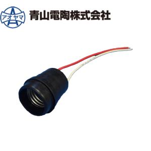 岩崎電気 岩崎 H1CC2A(B)352 (H1CC2AB352) 安定器 200V 100W 一般