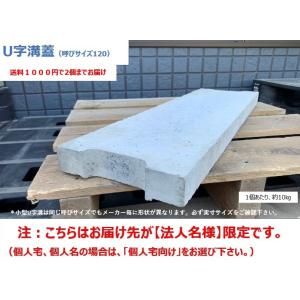 法人様限定 コンクリU字溝60用一種蓋L＝600mm お届けエリア本州