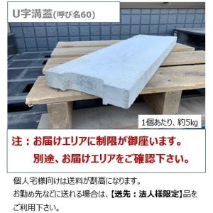個人宅OK コンクリU字溝６０用一種蓋L＝６００mm お届けエリア本州限定