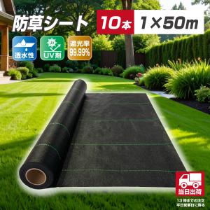防草シート ピン 250mm ワッシャー 100本セット 押さえピン 固定ピン