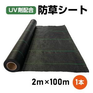 【改良版・UV剤配合】防草シート 2m × 100m  耐久年数４年〜５年 雑草防止 雑草対策 除草 草よけ 草除け 除草剤不要