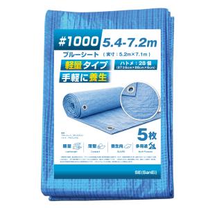 ブルーシート #2000 10m×10m 2枚入 中厚 補強 ハトメ 防水 防災 台風 