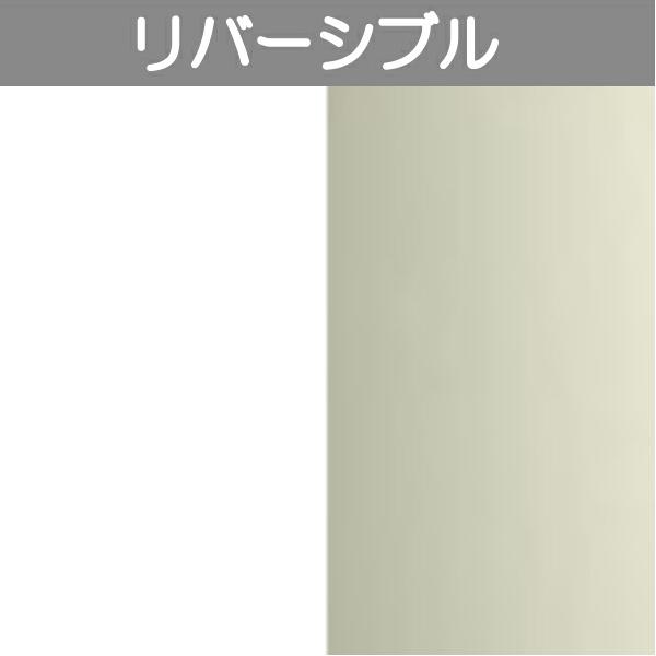アルポリック fr ニューブライトシリーズ R-1 片面ピュアホワイトP(グロス:90)+片面ライト...