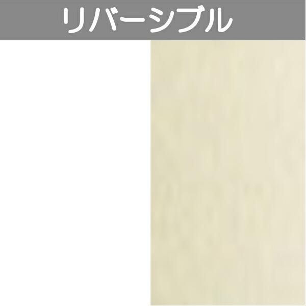 アルポリック fr ニューブライトシリーズ R-2 片面ホワイトP(グロス:30)+片面シャンペンメ...
