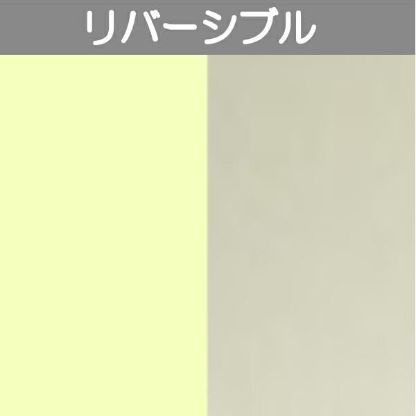 アルポリック fr ニューブライトシリーズ R-3 片面ライトベージュP(グロス:30)+片面シルバ...