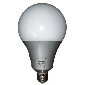 LED電球　屋内用クリップランプ　ビッグルミネ用交換球　LED-L30