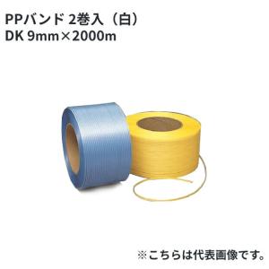 梱包用 PPバンド セキスイ 日本製 自動梱包機用 12RX-S 青 2巻入 5梱包 厚み0.58mm 12mm×3000m / HA｜shizaiyasan