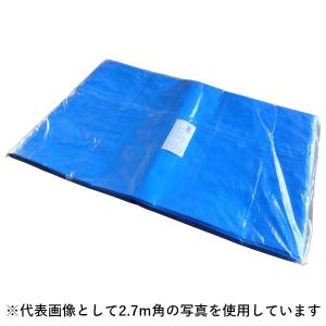 ブルーシート 厚手 3000 防水 輸入品 サイズ 規格 2.7m×3.6m (約6畳) バラ1枚［T］災害 台風 対策 キャンプ #3000｜shizaiyasan