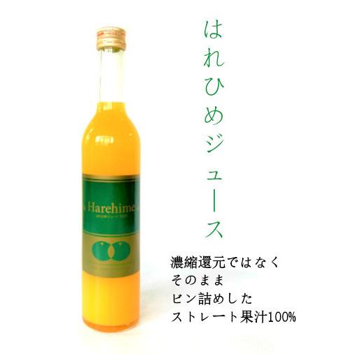 みかんジュース 瓶 はれひめジュース 500ml × 1本 オレンジジュース はれひめ 愛媛 無添加...