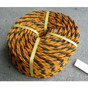 （ポイント2倍）標識用トラロープ #9 約100m 1巻