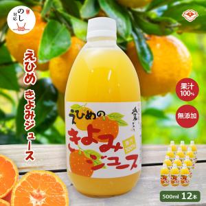 甘夏みかんジュース 500ml瓶 × 12本入 伯方果汁 愛媛 無添加 瓶 果汁
