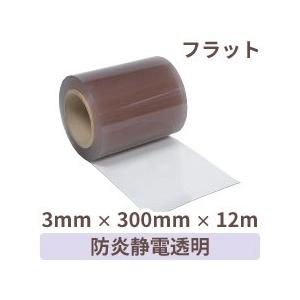 ビニールカーテン のれん 防炎静電透明 (フラッ...の商品画像