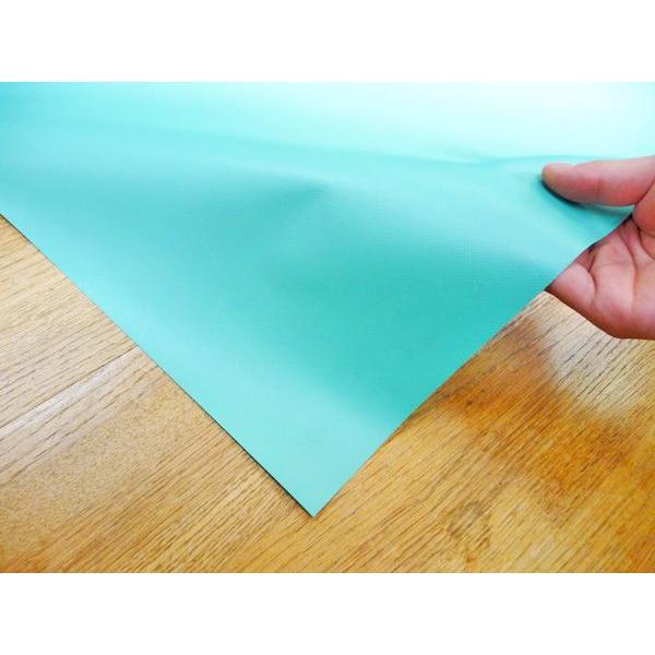 カラーターポリン ワサビ色 厚み0.35mm×幅185cm 10cm単位切り売り 爆買