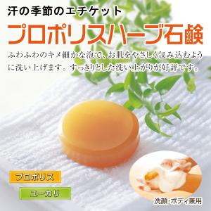 プロポリスハーブ石鹸 自然共生 ポイント消化